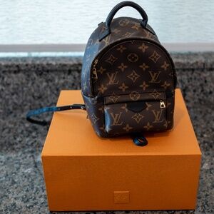Louis Vuitton Palm Springs mini back pack